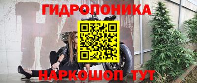прущая мука Гатчина